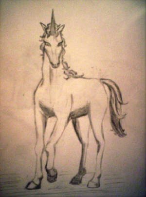 unicorn7.jpg